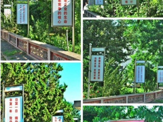 企业理念